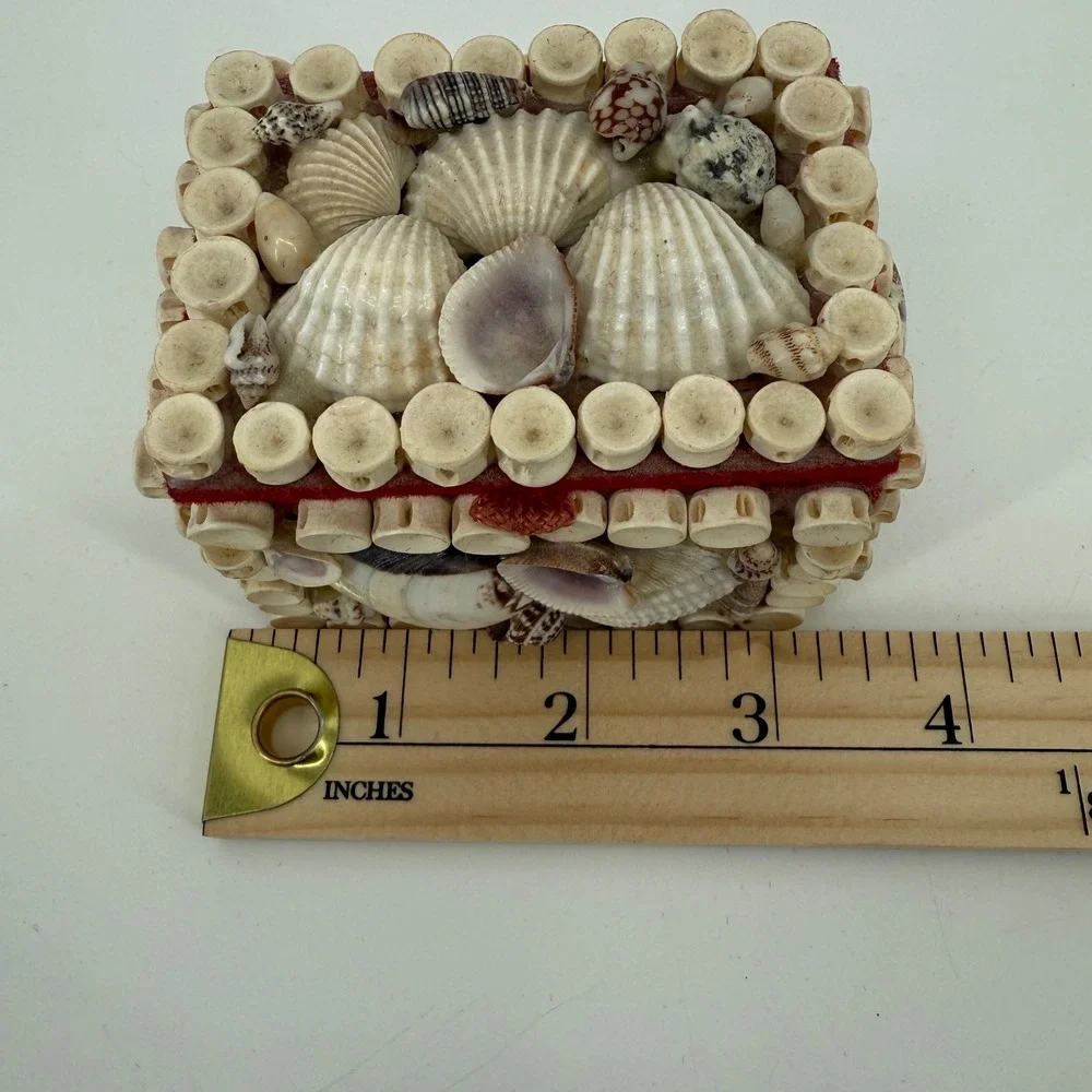 Vintage Seashell Trinket Box Shark Vertebrae Bone Rings Red Velvet Lined 3.5